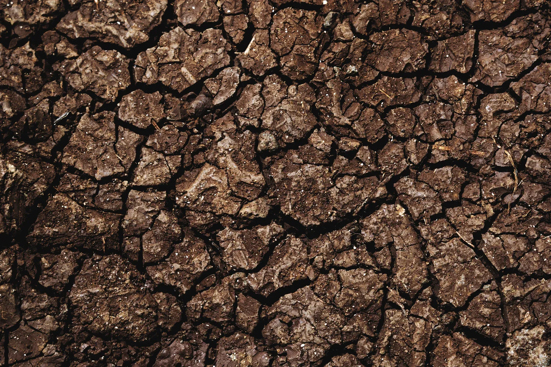 Close-up of dark brown clay soil split into irregular plates by deep drying cracks