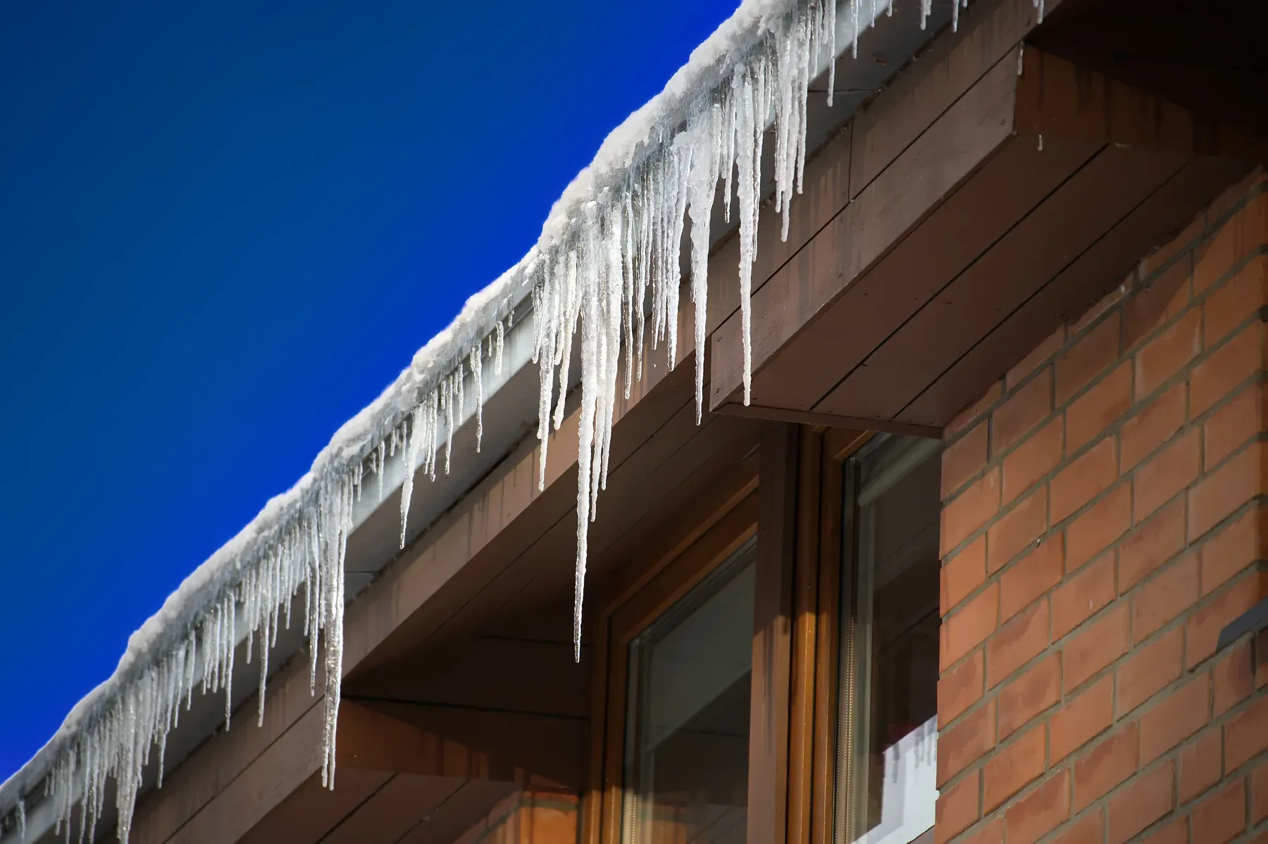 Long icicles hanging from a snowy gutter above a brick wall and window